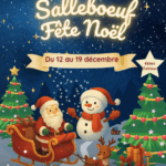 SALLEBOEUF FETE NOEL