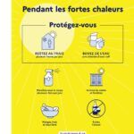 Les bons réflexes en cas de fortes chaleurs !